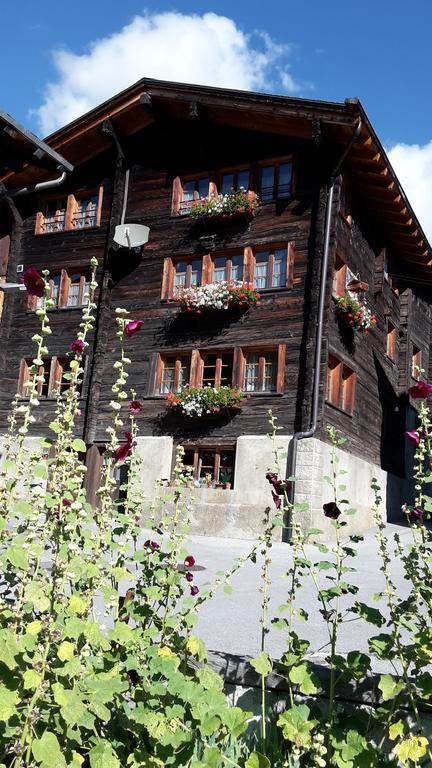 Appartement Alpensonne à Reckingen Extérieur photo